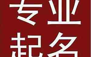 直播公司起什么名字好