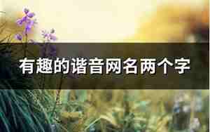 佳网名,佳网名谐音有内涵吗