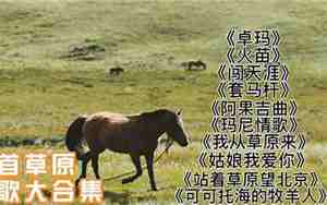 一首很好听的草原歌曲