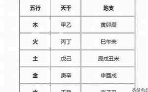 五行缺木缺金男孩名字的龙宝宝取名