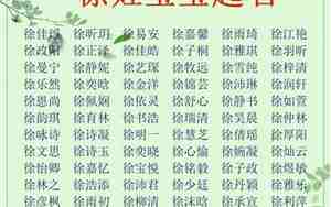 1996鼠年宝宝起名字，1996鼠年宝宝起名字男孩