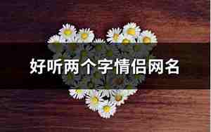 好听的俩个字的网名