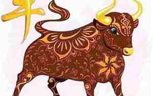 1985年属牛的是什么命