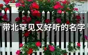 以北字开头的网名,北字开头的好听的网名有哪些