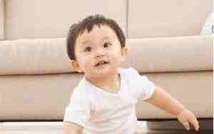 虎年宝宝小名洋气男孩