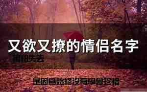 内涵情侣网名简短