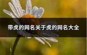 有关于虎的网名