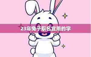 适合兔年宝宝名字