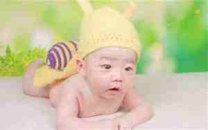 12年马宝宝名字，马年宝宝名字大全