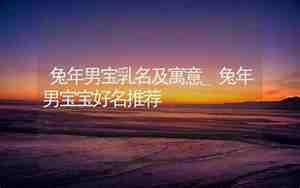 兔年男宝宝好名推荐