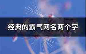 两个字网名阳光正能量