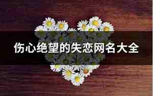 伤心绝望的网名