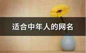 中年人的网名大全