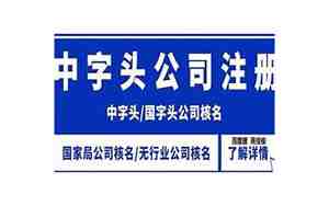 莎开头的公司名字,莎开头的公司名字大全怎么取