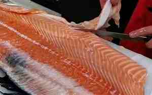 三文鱼名字大全