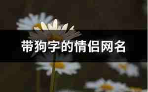 带狗字的网名,带狗字的网名大全纯文字女生