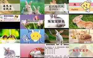 属兔人起公司名的幸运汉字