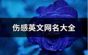 伤感的英文网名让人想哭