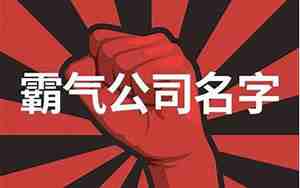 用瑞字取公司名字怎么样