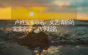 姓卢的宝宝名字大全