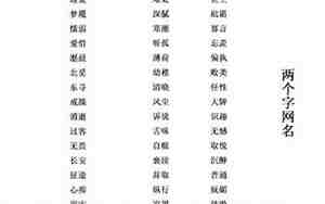 两个字的伤感网名女生大全带符号