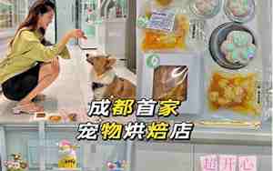 高端宠物烘焙