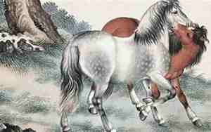 属马的起公司名称