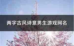 两字诗意网名 男