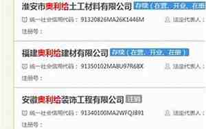 公司成立初衷可以写什么