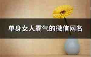 单身女人网名,单身女人网名霸气好听