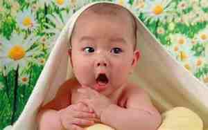 贵宾名字大全 洋气