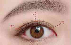 太阳花睫毛是什么样子