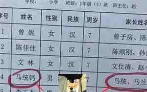 给娃取名字,给娃取名字看排版好吗