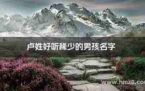 卢姓男宝宝好听的名字