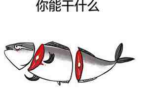 跟咸鱼有关的名字