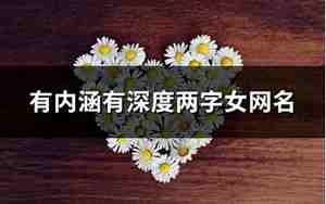 两个字有内涵的网名，很有内涵的两个字网名