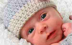 好听的兔宝宝名字