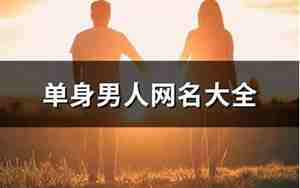 一个人网名,单身男人最火的网名两个字
