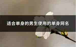 单身贵族的网名男