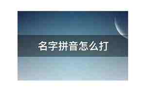 公司名称如何用拼音表示