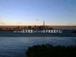 olivia名字寓意(olivia名字寓意是什么)