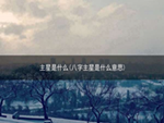 主星是什么(八字主星是什么意思)