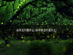冰字五行属什么(冰字的五行是什么)