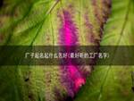 厂子起名起什么名好(最好听的工厂名字)