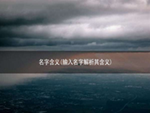 名字含义(输入名字解析其含义)