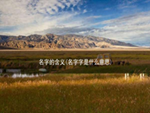 名字的含义(名字字是什么意思)
