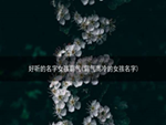 好听的名字女孩霸气(霸气高冷的女孩名字)