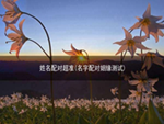 姓名配对 超准(名字配对姻缘测试)