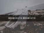 属鼠和属牛的合不合(属鼠和属牛合不合)