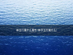 林五行属什么属性(林字五行属什么)